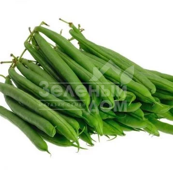 Ягуар F1 / Jaguar F1 фото 1