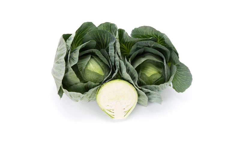 Лонгма F1 / Longma F1, 140-150 дней фото 4