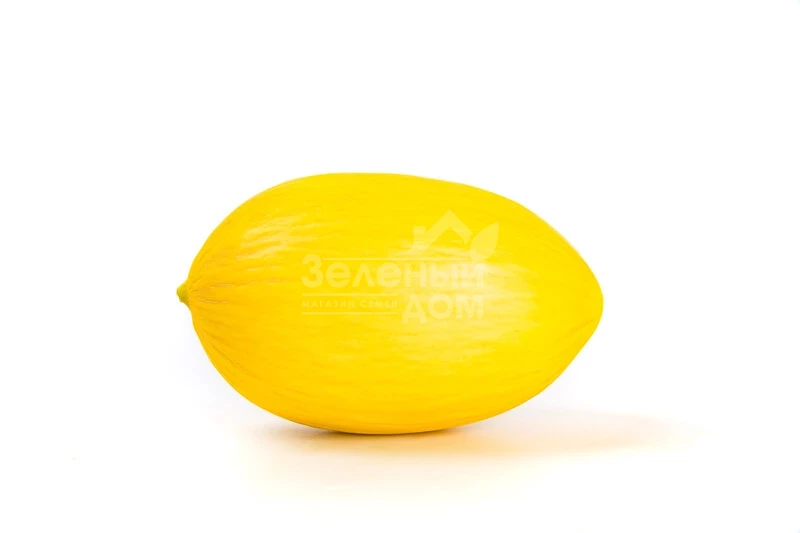 Азилал F1 / Azilal F1  фото 1