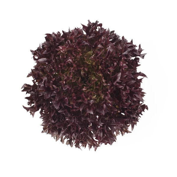 Триплекс / Triplex фото 5