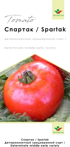 Спартак / Spartak фото 1