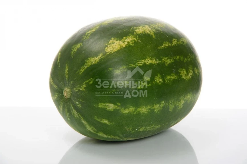 Селест  F1 / Selest F1, 70-75 дней фото 1