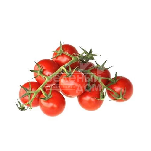 Метро F1 / Metro F1,90-95 дней. фото 1