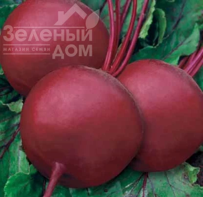 Бикорес / Bikores фото 1