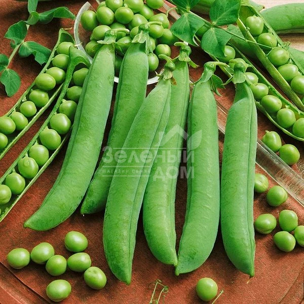 Авола / Avola фото 1