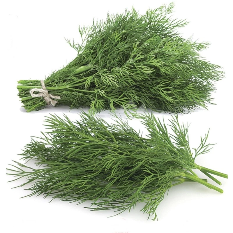 Компакт / Compact фото 1