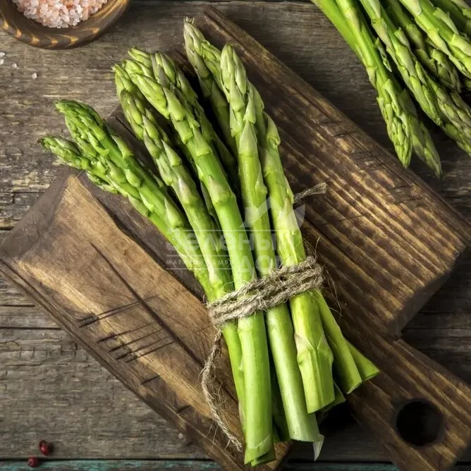 Аспарагус UG 157 F1 / Asparagus UG 157 F1 фото 1