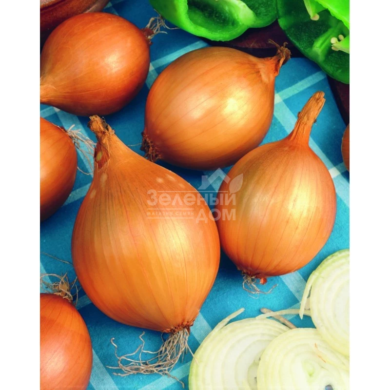 Вшетана / Vshetana фото 1