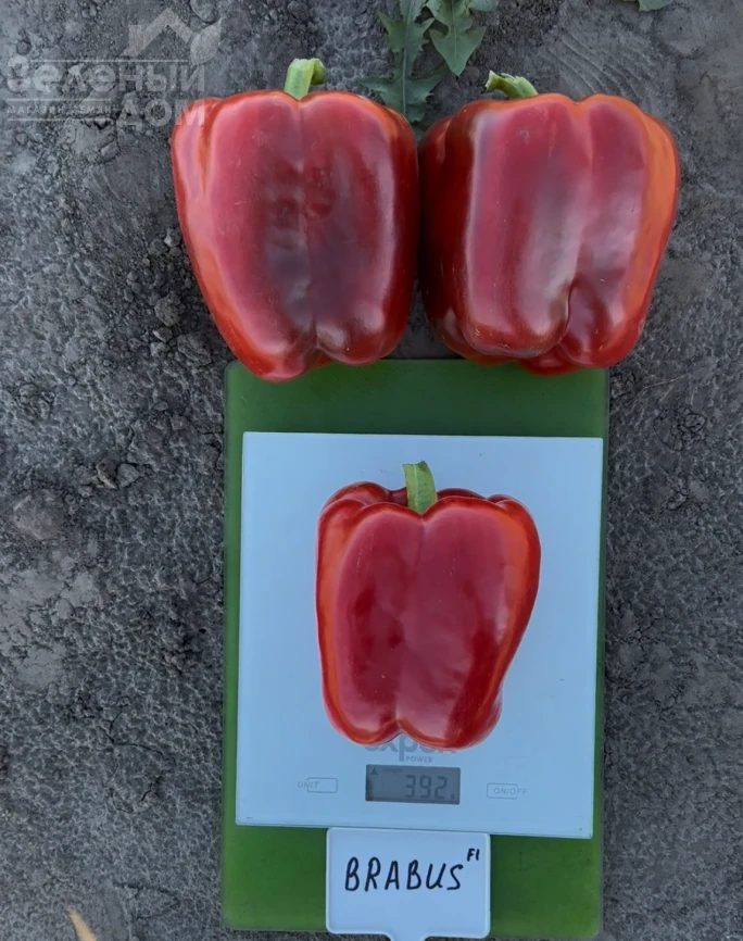 Брабус F1 (PBRS 20336) / Brabus F1  фото 2