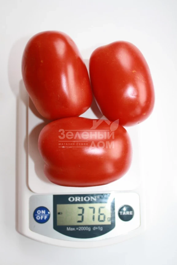 Фидель (INX 1592) F1 / Fidel (INX 1592) F1,90-95 дней фото 4