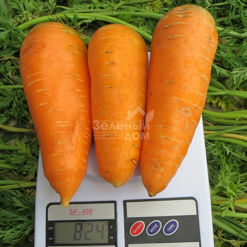 Болтекс / Boltex,110-120 дней фото 3