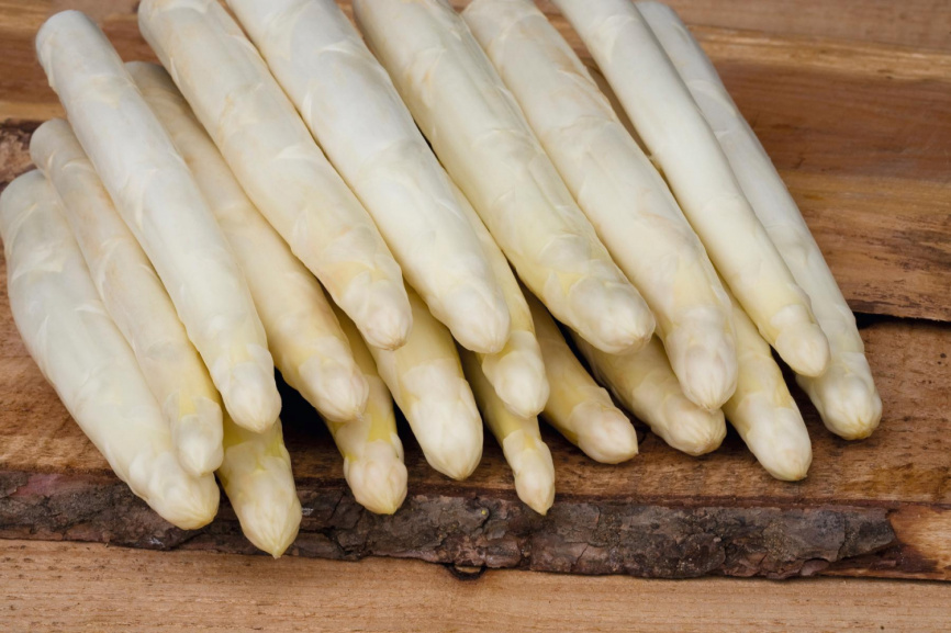 Сігнус F1 / Cygnus F1 фото 1