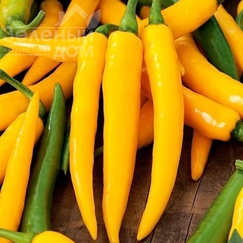 Харвей / Harvey  фото 1