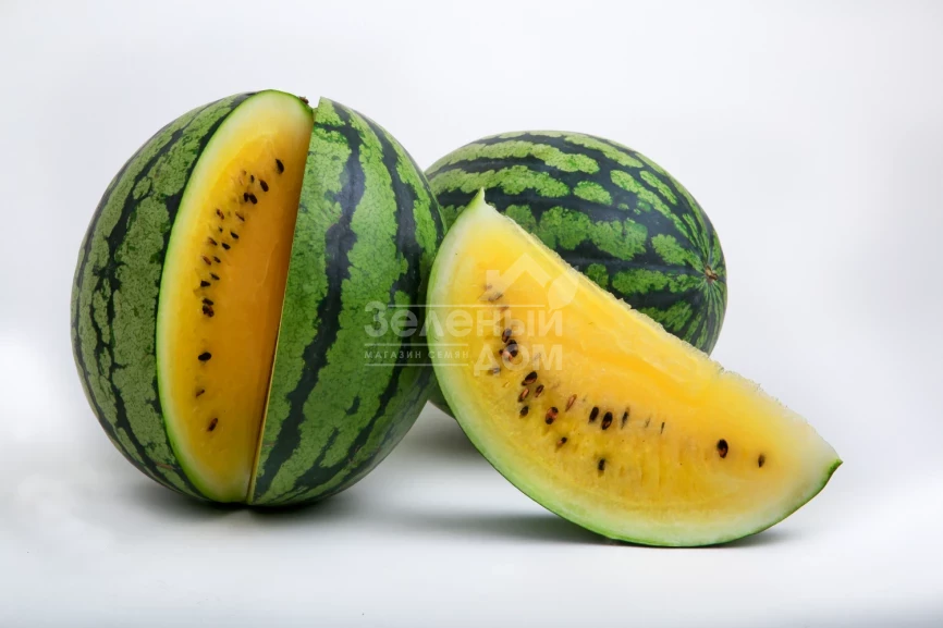 Покемон (LS 1809) F1 / Pokemon (LS 1809) F1 фото 4