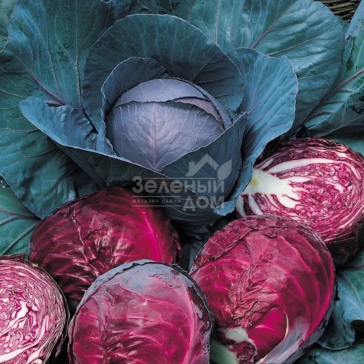 Редма F1 / Redma F1,80 дней фото 3