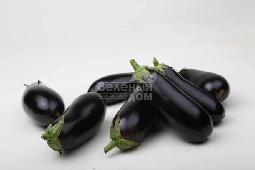 Антрацит F1 / Antratsyt F1,85-95 дней фото 1