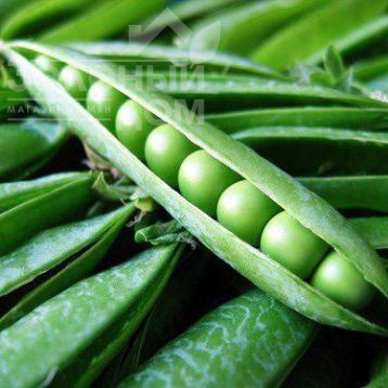 Кельведонське диво / Kelʹvedonsʹke dyvo фото 1