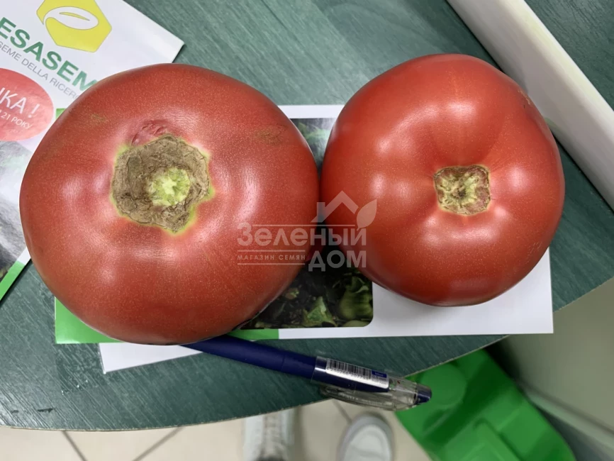 Розетт (ТЛ 18304) F1 / Rosett (TL 18304) F1 фото 2