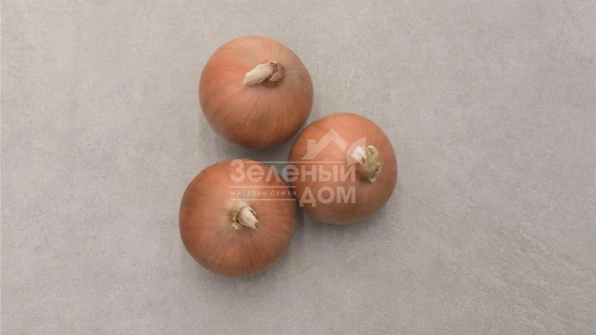 Стингрей F1 / Stingrey F1,110 дней фото 1