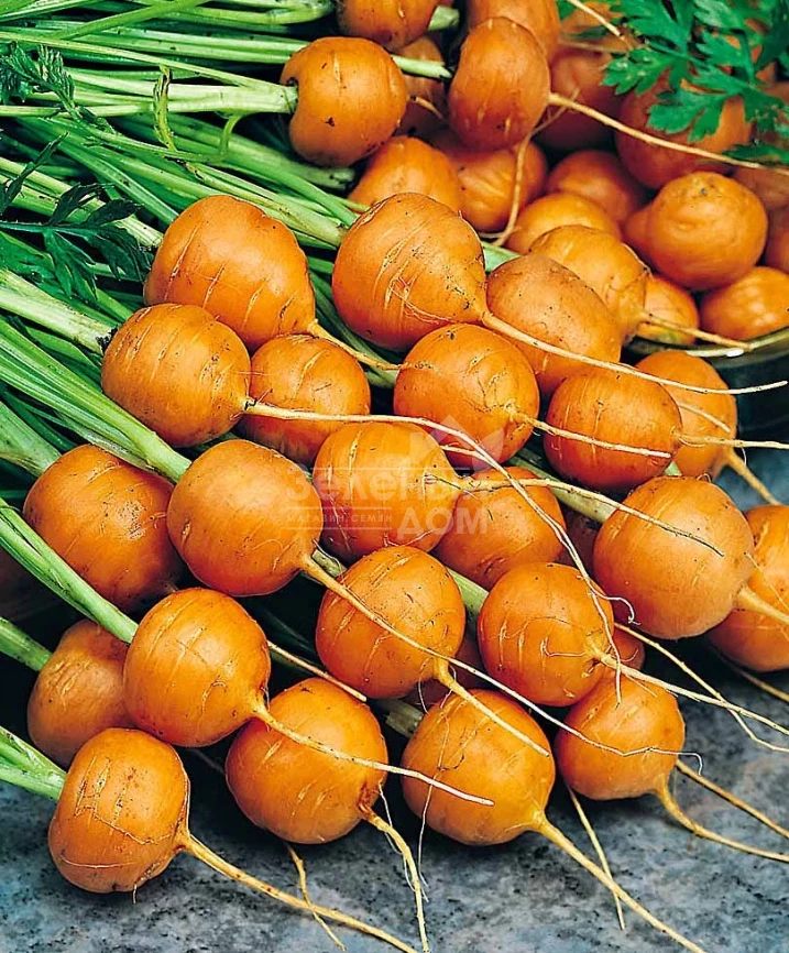 Рондо / Rondo,80 дней фото 1