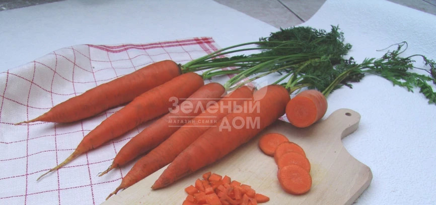 Тинга / Tinga,150 дней фото 1