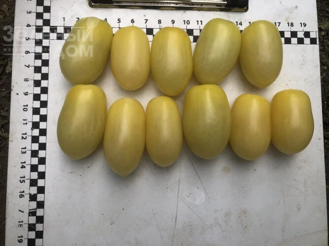 Смарт F1 / Smart F1, 95 дней  фото 2