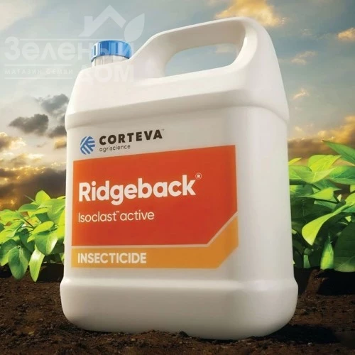 Риджбек / Ridgeback, СЕ фото 1