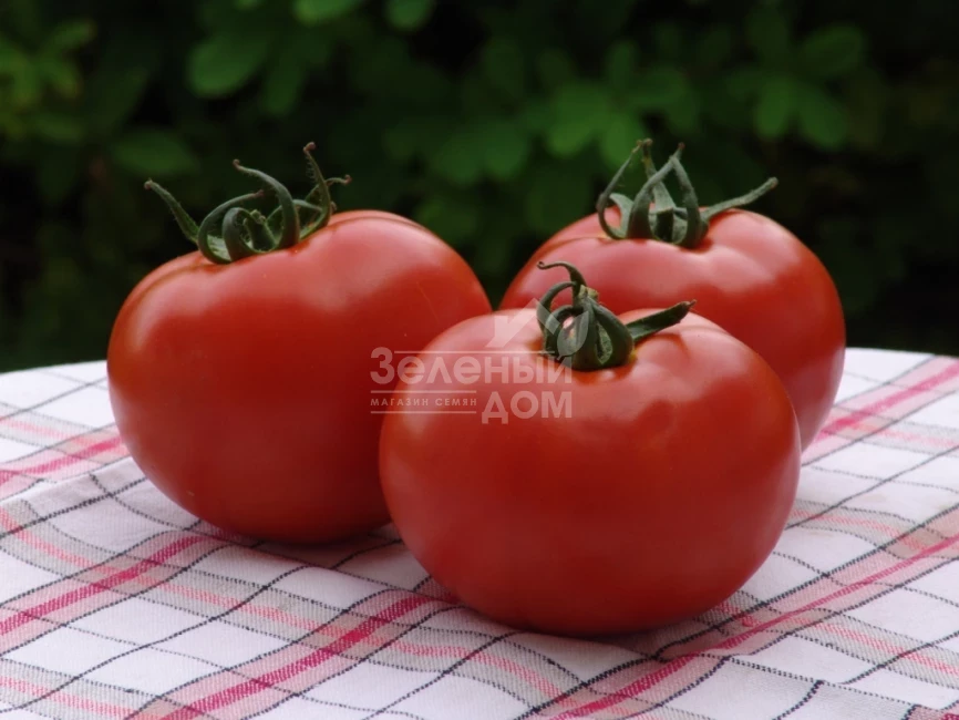 Атерон F1 / Ateron F1 фото 1