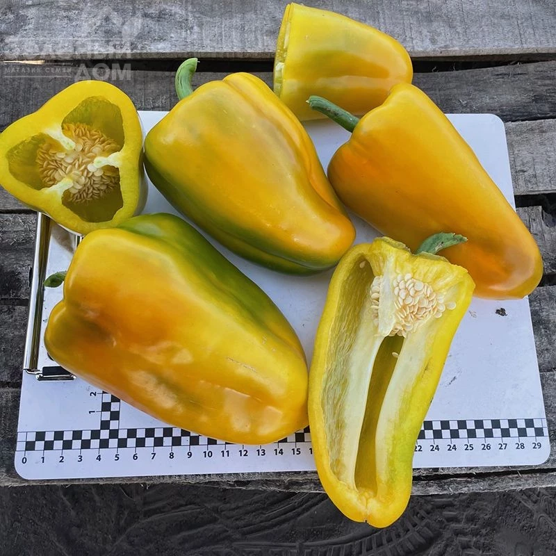 Санта F1 / Santa F1,60 дней             фото 3