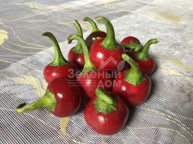 Глобус F1 / Globus F1,70 дней фото 1