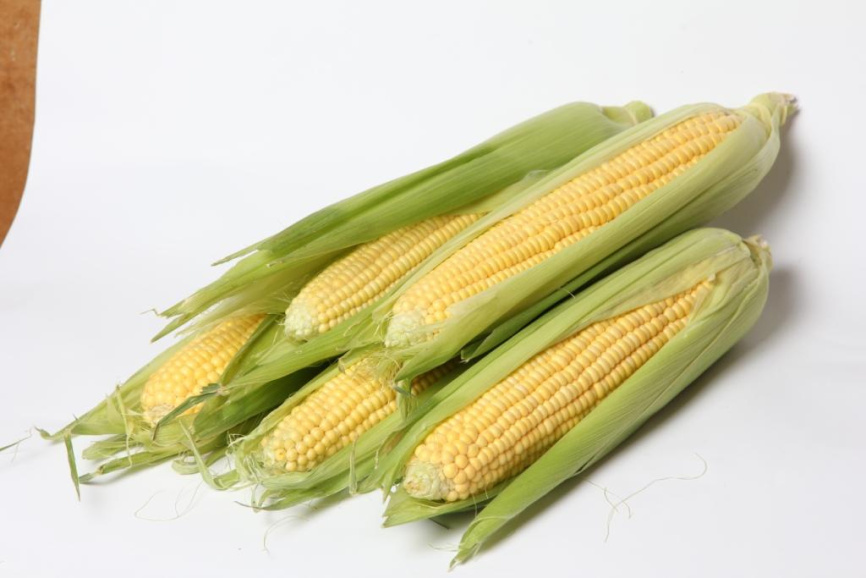 ЛС 899 F1 / LS 899 F1 фото 1