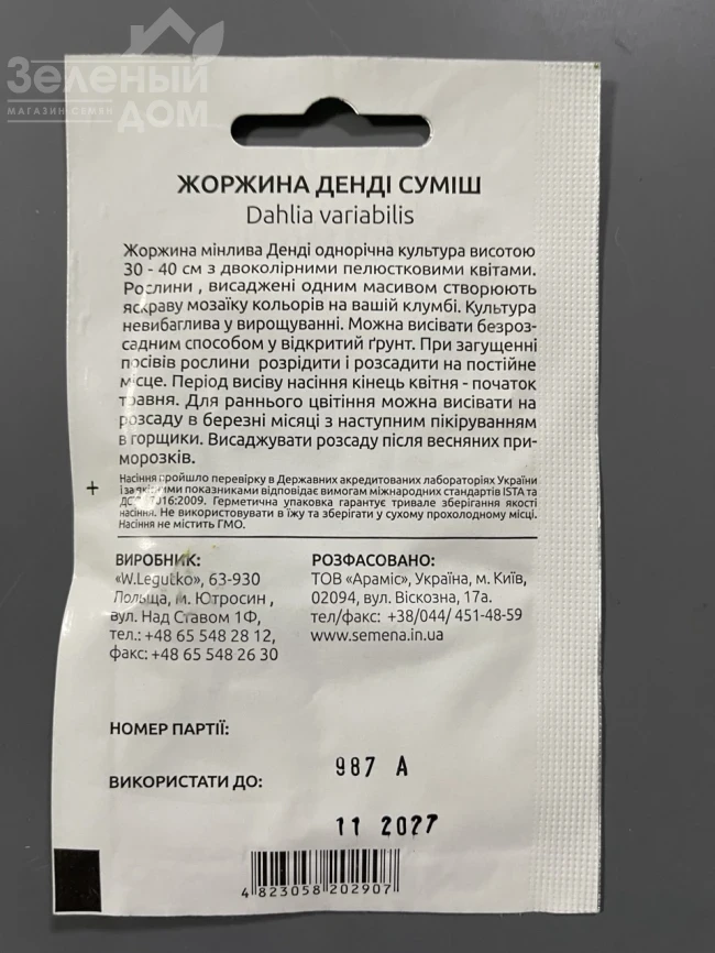 Георгина Денди (смесь) фото 2