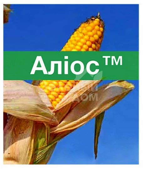 Алиос / Alios, ТМ фото 1