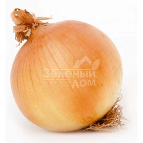 Глобус / Globus,112-118 дней фото 1