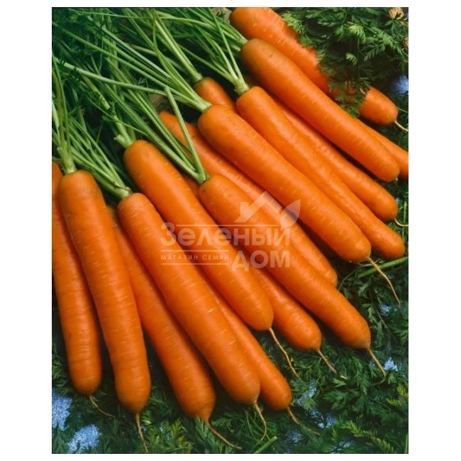 Йолана F1 / Jolana F1,90-100 дней фото 1