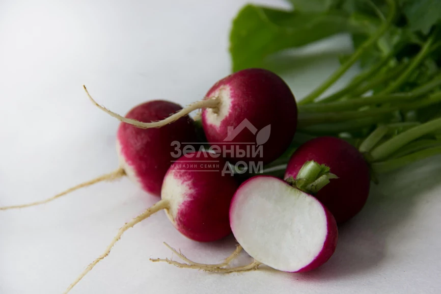 Николь F1 / Nicol F1 (Стандарт +),23-25 дней фото 1