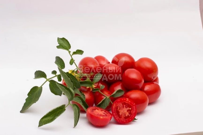 Чезена F1 / Chezena F1, 85-95 дней фото 4