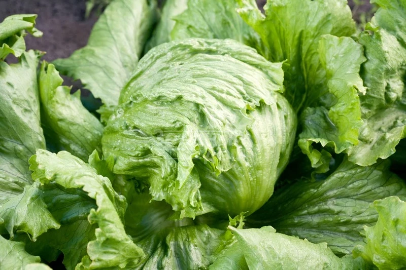 Диамантинас / Diamantinas фото 1