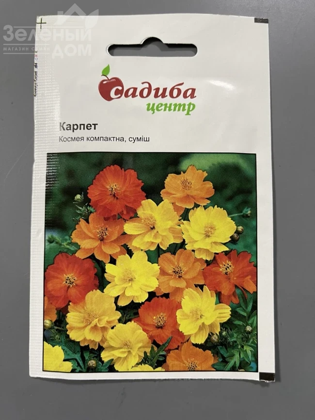 Космея компактная Карпет (смесь) фото 1