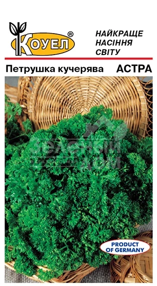 Астра / Astra фото 1