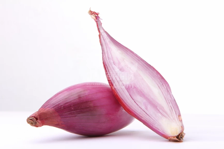 Розовый Пингвин F1 / Pink Penguin F1, 80-100 дней фото 1