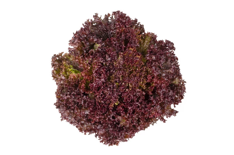 Самантайн / Samantine фото 2