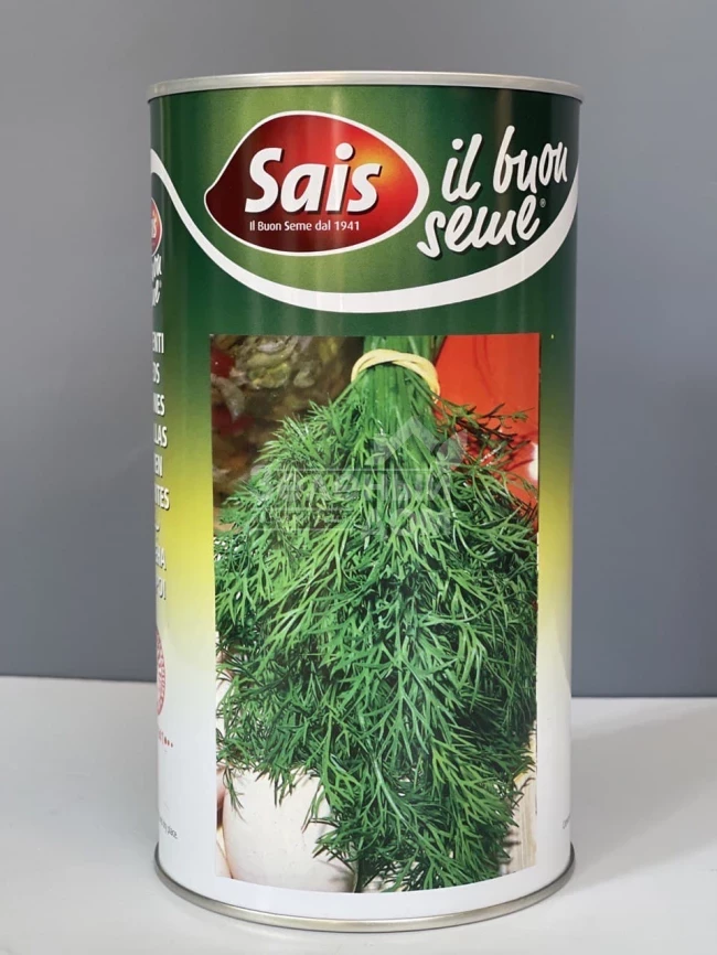 Дилл Компакт / Dill Compact, 50-55 дней фото 2