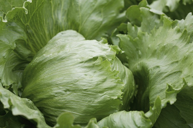 Платінас / Platinas фото 1