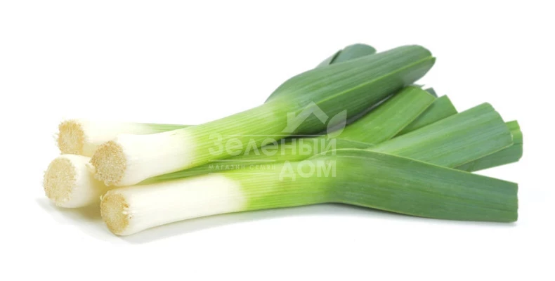 Порилюкс / Porilux ,130-140 дней фото 1