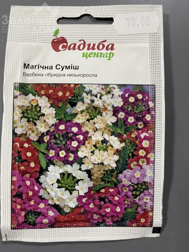 Вербена гибридная Магическая (смесь) фото 1