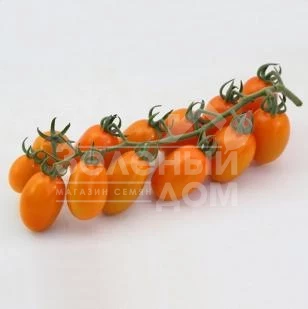 КС 97 F1 / KS 97 F1  фото 1