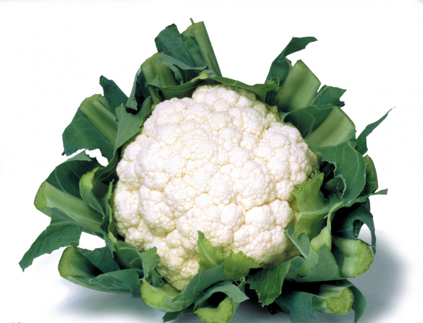 Кашмір F1 / Kashmir F1,55-60 днів фото 1