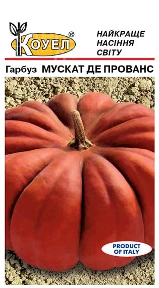 Мускат де Прованс / Muskat de Provans фото 2