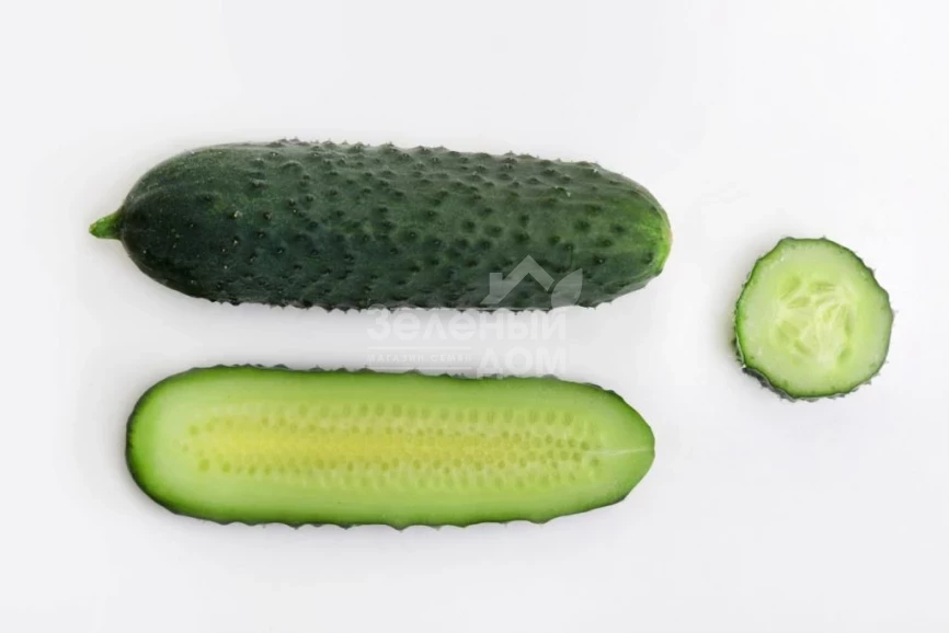 Джуниор F1 (LS 1906) / Junior F1 (LS 1906) фото 7